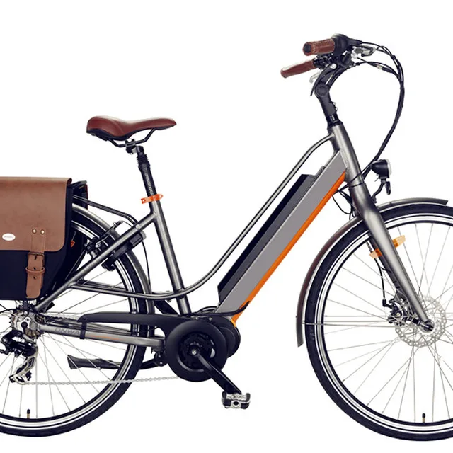 China city Unfolding electric bike electric bicycle