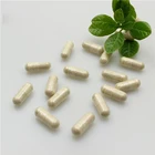 Health Food Ginkgo Biloba Leaf Capsule for Reducing Blood Fat