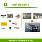 Papaya Leaf Extract Papain Powder With Competitive Price