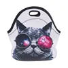 /product-detail/3d-printing-cat-pattern-cooler-bag-for-school-neoprene-school-lunch-bag-60817536942.html