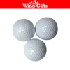 Novelty Golf Balls - Standard 2-layer Construction for golfers of all skill levels - Professional, Funny Practice Golf balls