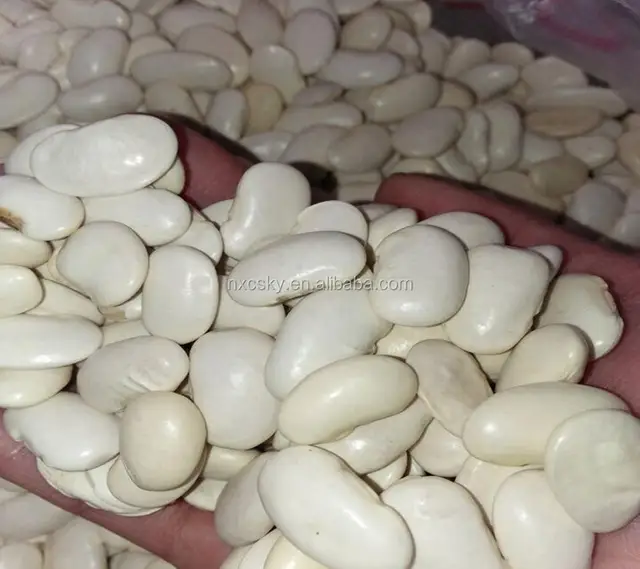 dried white beans, white kidney bean