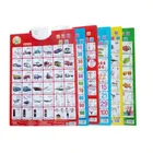 Wholesale Language Learning Audio Wall Chart for Children Education