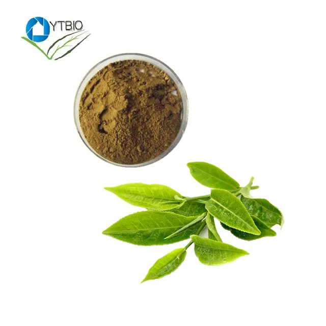 phenolic active from extracted from natural plants tea the