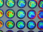 Adhesive Sticker Type Custom Feature Hologram Security Sticker