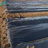 Best selling uv treated plastic mulch film greenhouse 50 micron black to japan