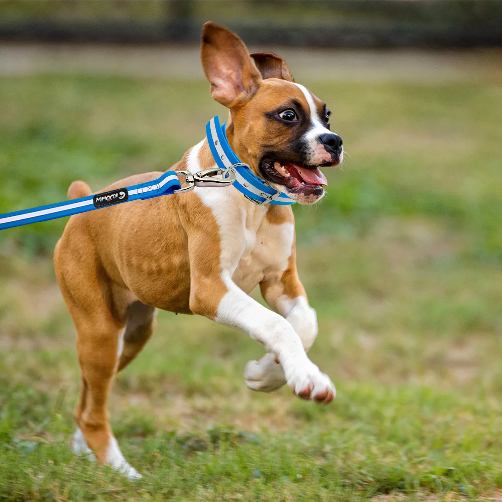 anti-smell reflective dog collar with alloy buckle