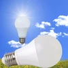 New arrival Poultry House 7W LED dimmable energy-saving bulb 12Vdc IP54