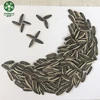 New Crop Bulk Roasted Salted Striped Sunflower Seeds, Dexiodized Packing, Best Flavor