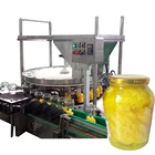 fruits and vegetable processing equipment
