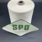 SPO Chinese Factory Wholesale Price 140/2 spun silk yarn with long fiber