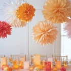 Meilun Art Crafts Artificial paper pom poms wedding party supplies