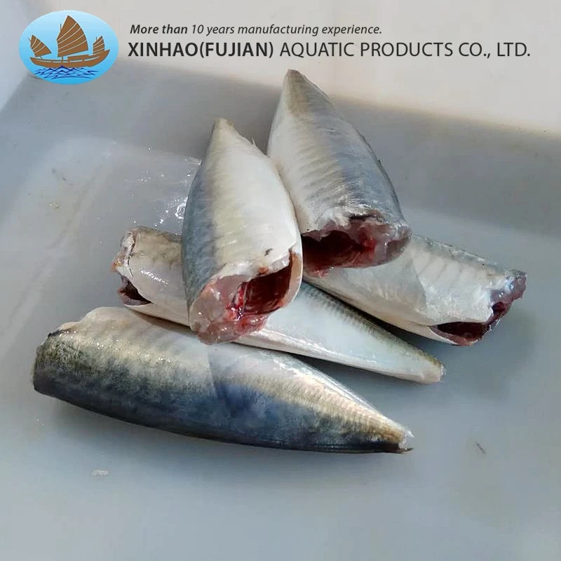 China wholesale sea frzoen horse mackerel on hot sale