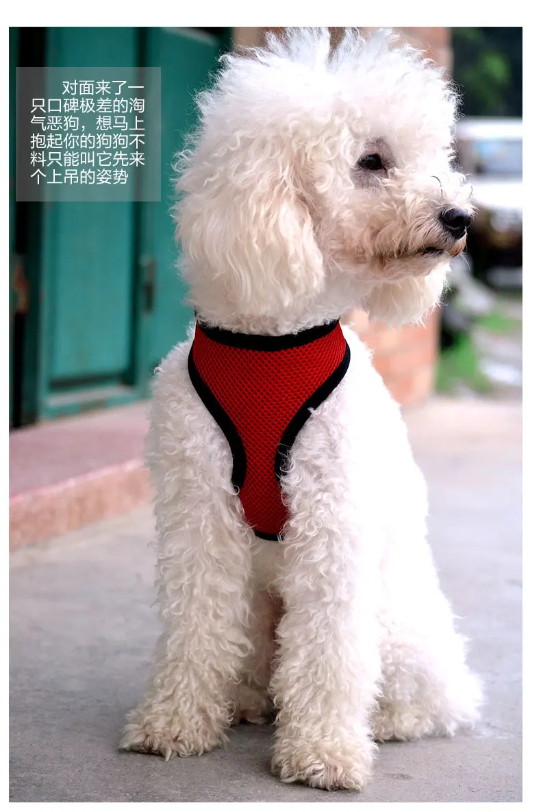 TB2ptrTaVXXXXcqXXXXXXXXXXXX-2266047197