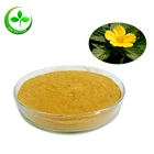 High quality Damiana extract powder /Damiana leaf extract