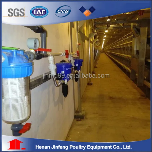 pullet, a pullet is a