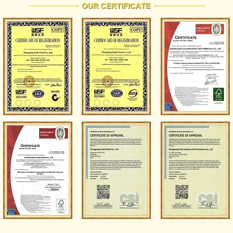certificate.jpg_.webp