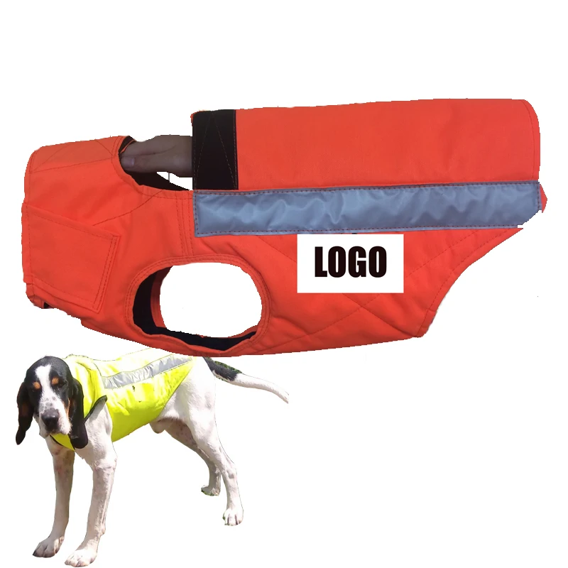 dog hunting supply