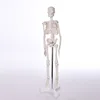/product-detail/high-quality-biological-anatomy-entire-human-skeleton-60417878904.html