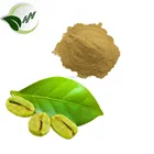 Hot Sale green coffee bean extract/Organic green coffee bean extract powder