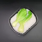 Disposable plastic microwave take away PP food containers