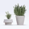 Fashion desktop silicone decorative plant pot, silicone flowerpot