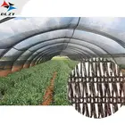 Tailored black horticultural shadenet 150gsm pe sun shade net for house farming