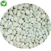 /product-detail/fda-certification-wholesale-cheap-bulk-frozen-fresh-peeled-white-garlic-60614646393.html