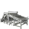 Shrimp Prawn Grader Processing Plant Quick Freezing Production Line