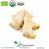 Organic dried ginger powder / best market price bulk ginger