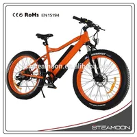 1000w 1500w Big Power Fat Tire