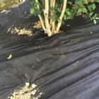Cold cloth pp spunbond nonwoven fabric for agriculture ground cover unterbodengewebe