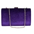 0032 Women Acrylic Hard Case Box Clutch with Frame