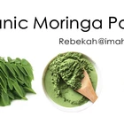 Powder Powder Moringa Powder Top Grade GMO Free Moringa Powder Leaf