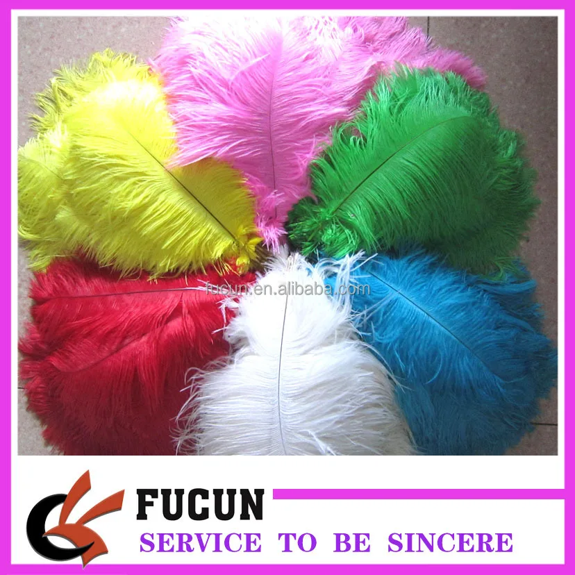 ostrich feather.jpg