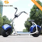 E Electric Powerful E-Bike 1000w Fat E Scooter Electric City Scooter With Double Seats