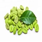 Hot selling Pure Natural 50% chlorogenic acid green coffee bean extract lose weight