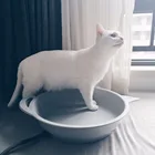Innovative heating bed for small pet with ISO