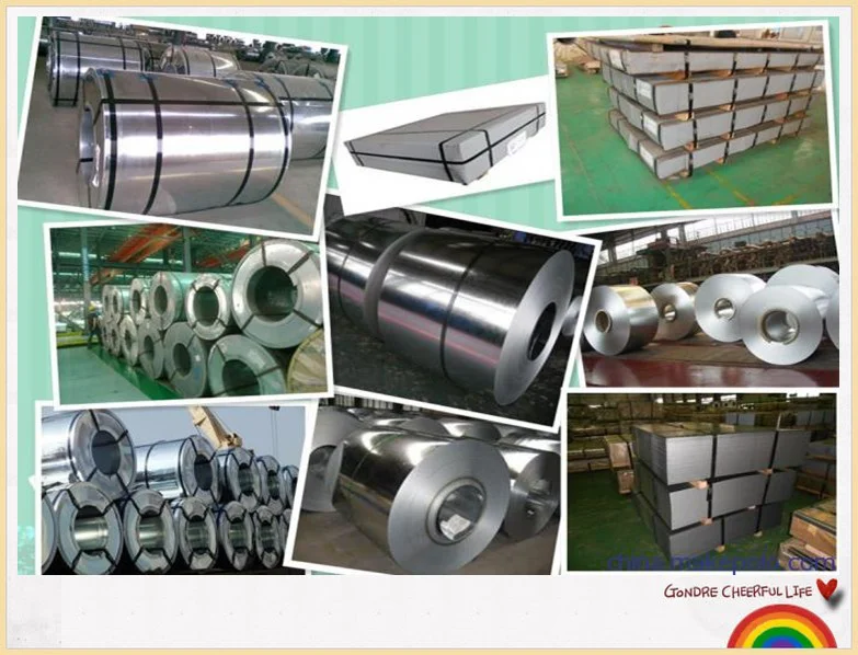 SPCC / SAE1008 CR Sheet / Cold Rolled Steel Coil / acero cold rolled