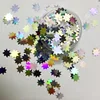 Solvent Resistant Silver holographic sun glitter Sequins for Nail&Crafts