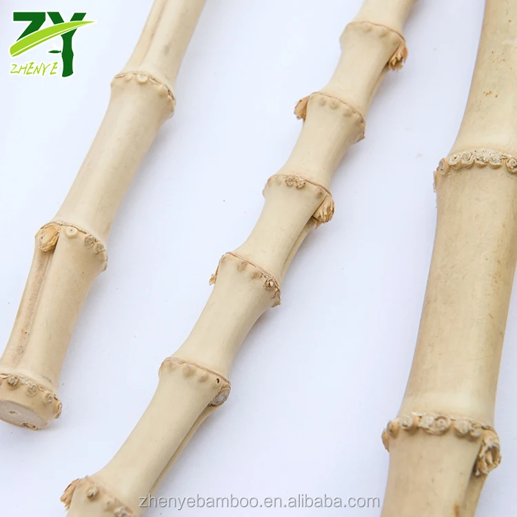 ZY-401 Natural Bamboo Root3.jpg