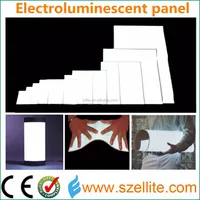 China Top Quality Flexible Electroluminsescent Supplier
