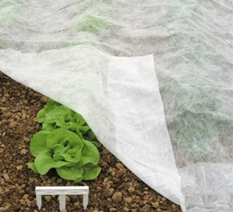 mulch film.jpg