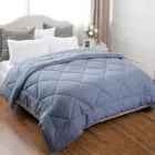 100% Cotton All-Season Quilted Bedspreads Down Alternative Comforter Set with Corner Tabs Duvet Insert