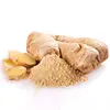 Certified Organic Dehydrated Ginger Powder