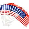 Wholesale screen printing Campaign Promotional cheap hand customized election national flag