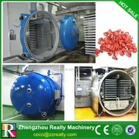 The High Efficency Freeze Drying Machine