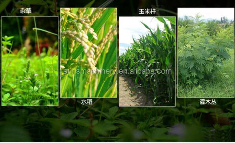 weeding machine (19).jpg