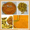 /product-detail/best-price-turmeric-curcumin-capsules-tablets-60672368293.html
