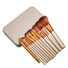 Lady Cosmetic Beauty Tools 12pcs NAKE 3 Makeup Cosmetic Brush Set With Metal Box